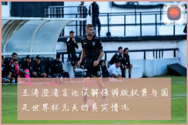 王涛澄清言论误解强调版权费与国足世界杯无关的真实情况